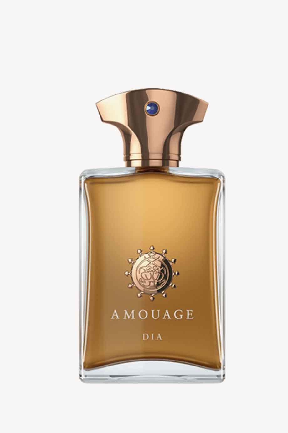 Picture of AMOUAGE DIA FOR MEN EAU DE PARFUM 100ML